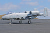 Freewing A-10 Thunderbolt II Super Scale Twin 80mm EDF Jet V2 Inrunner with Gyro - PNP FJ31113PG