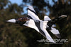 Freewing F-16 Falcon V3 Arctic Camo 70mm EDF Jet - ARF PLUS FJ21125AP