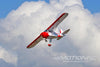 Nexa PA-22 Tri-Pacer 1620mm (63") Wingspan - ARF NXA1027-001