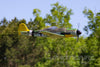 FlightLine Fw 190 D-9 Dora 850mm (33") Wingspan - PNP FLW102P