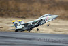 Freewing F-14 Tomcat Twin 80mm EDF Jet - ARF PLUS FJ30811K+