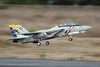 Freewing F-14 Tomcat Twin 80mm EDF Jet - PNP FJ30812P