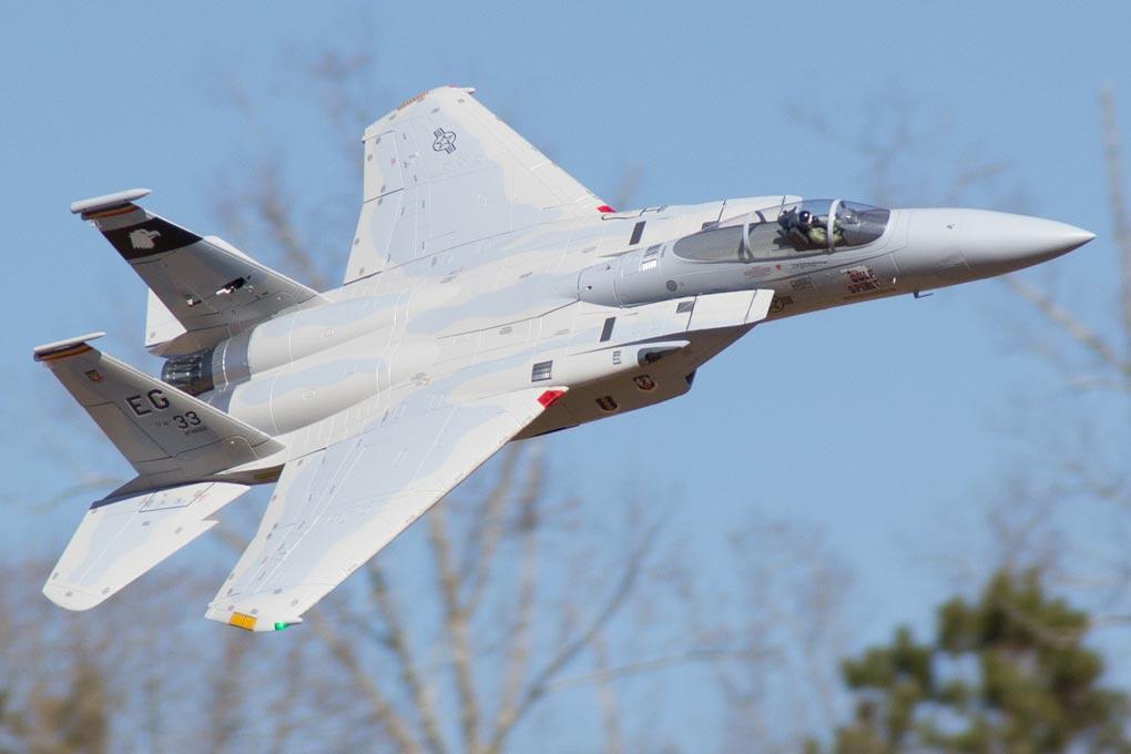 Freewing F-15C Eagle Super Scale 90mm EDF Jet - ARF PLUS FJ30911K+