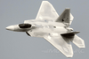 Freewing F-22 Raptor 90mm EDF Jet - ARF PLUS FJ31311A+