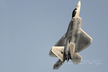 Lade das Bild in den Galerie-Viewer, Freewing F-22 Raptor High Performance 90mm EDF Jet - PNP FJ31313P
