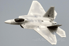 Freewing F-22 Raptor High Performance 90mm EDF Jet - PNP FJ31313P