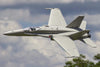 Freewing F/A-18C Hornet "Gray Diamonds" 90mm EDF Jet - ARF PLUS