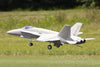 Freewing F/A-18C Hornet "Gray Diamonds" 90mm EDF Jet - ARF PLUS