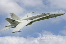 Load image into Gallery viewer, Freewing F/A-18C Hornet &quot;Gray Diamonds&quot; 90mm EDF Jet - ARF PLUS FJ31421AP
