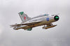 Freewing Mig-21 Silver 80mm EDF Jet - ARF PLUS FJ21011A+