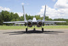Freewing MiG-29 Fulcrum Digital Camo Twin 80mm EDF Jet - ARF PLUS