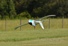 Freewing Seagull 4-in-1 Prop and EDF 1400mm (55") Wingspan - PNP FG20113P