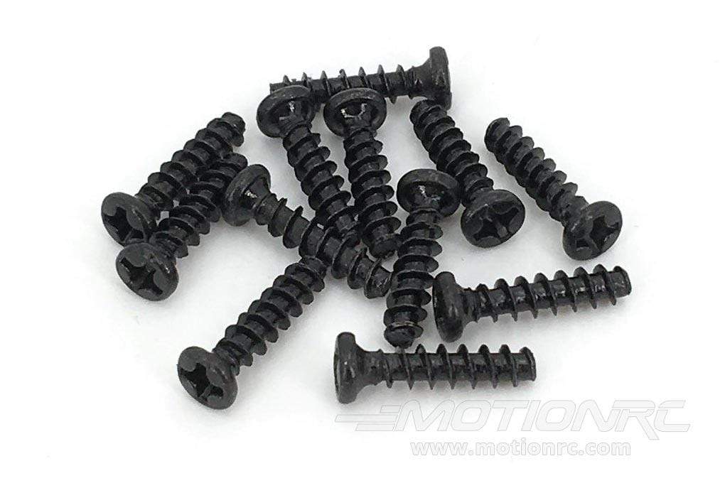 Heng Long 1/16 Scale German Jagdpanther Screw Set