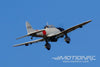 Nexa D3A1 Aichi 1540mm (60.6") Wingspan - ARF NXA1059-001