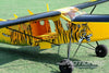 Nexa Pilatus PC-6 Tiger 2720mm (107") Wingspan - ARF NXA1028-001
