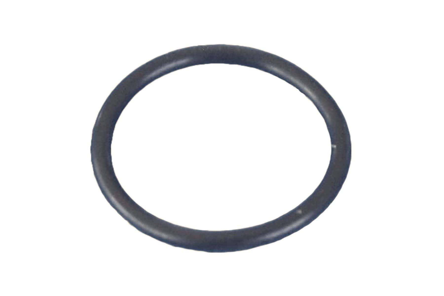 NGH GT9 Replacement O-Ring NGH-7304