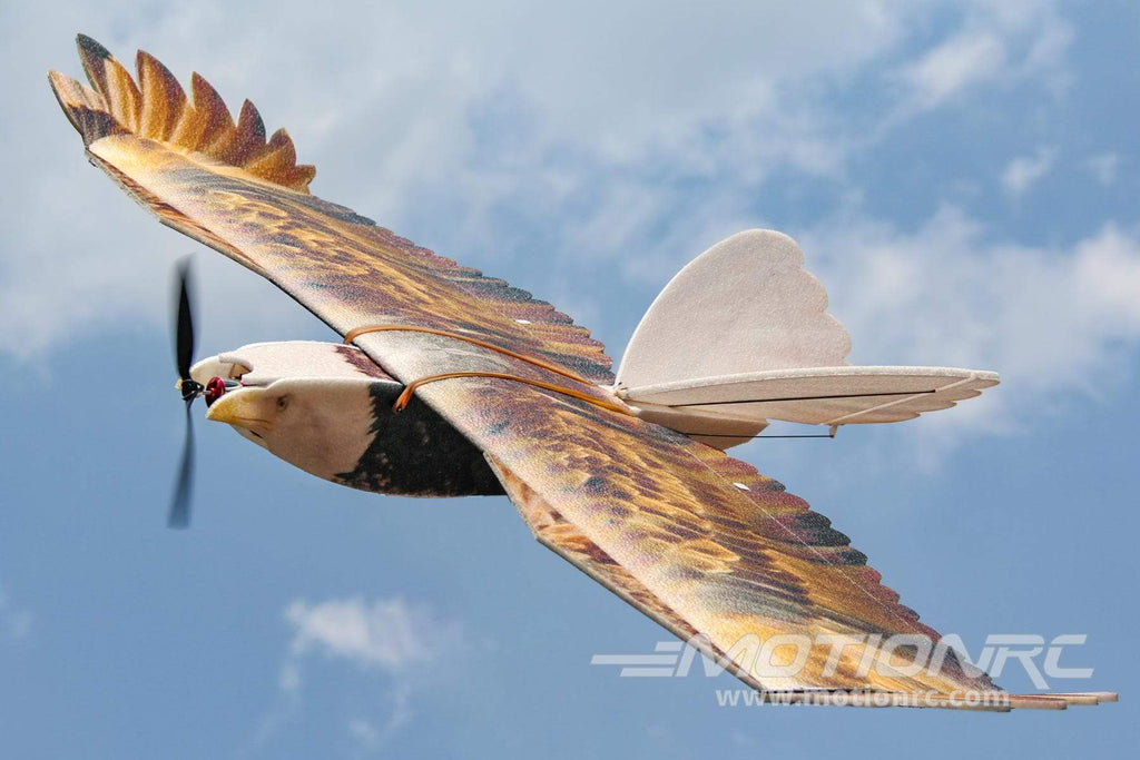 Skynetic Bald Eagle 1430mm (56") Wingspan - ARF BUNDLE SKY1044-001