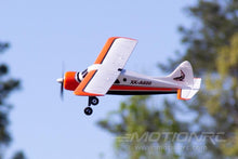 Lade das Bild in den Galerie-Viewer, XK DHC-2 Beaver A600 with Gyro 580mm (22.8&quot;) Wingspan - RTF WLT-A600R
